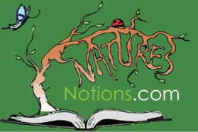 Logo Design entry 22215 submitted by JINKODESIGNS