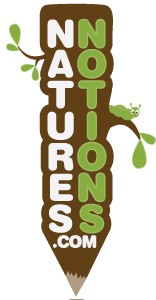 Logo Design entry 22227 submitted by B.T.Klemensowski