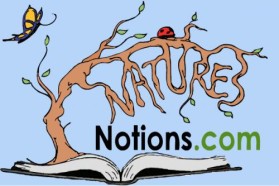 Logo Design entry 22253 submitted by JINKODESIGNS