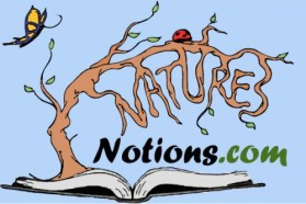 Logo Design entry 22254 submitted by JINKODESIGNS