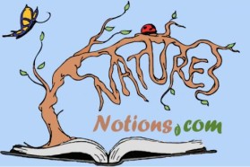 Logo Design entry 22257 submitted by JINKODESIGNS