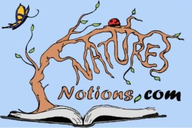 Logo Design entry 22290 submitted by JINKODESIGNS