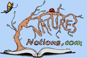 Logo Design entry 22351 submitted by JINKODESIGNS