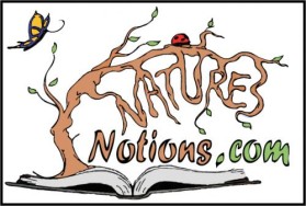 Logo Design entry 22353 submitted by JINKODESIGNS