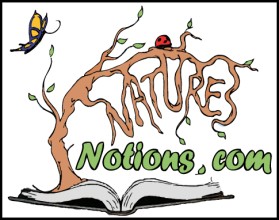 Logo Design entry 22388 submitted by JINKODESIGNS