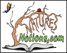 Logo Design entry 22409 submitted by JINKODESIGNS