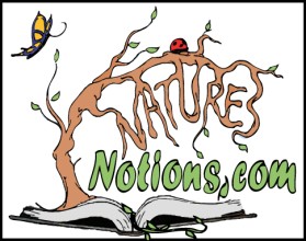 Logo Design entry 22412 submitted by JINKODESIGNS