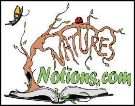 Logo Design entry 22495 submitted by JINKODESIGNS