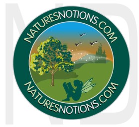 Logo Design entry 22502 submitted by naropada