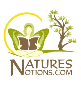 Logo Design entry 22549 submitted by eShopDesigns