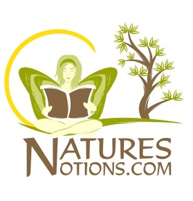 Logo Design entry 22552 submitted by eShopDesigns