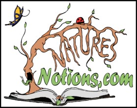 Logo Design entry 22588 submitted by JINKODESIGNS