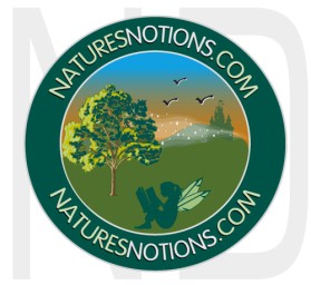 Logo Design entry 22635 submitted by naropada