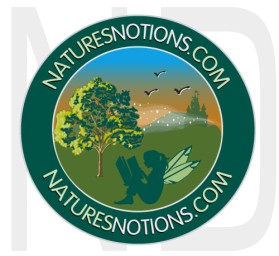 Logo Design entry 22636 submitted by naropada