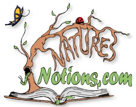 Logo Design entry 22646 submitted by JINKODESIGNS