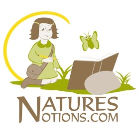 Logo Design entry 22665 submitted by eShopDesigns