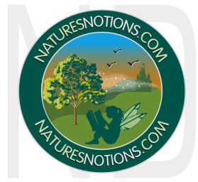 Logo Design entry 22669 submitted by naropada