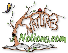 Logo Design entry 22670 submitted by JINKODESIGNS