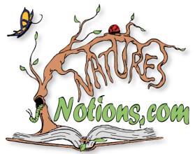 Logo Design entry 22673 submitted by JINKODESIGNS