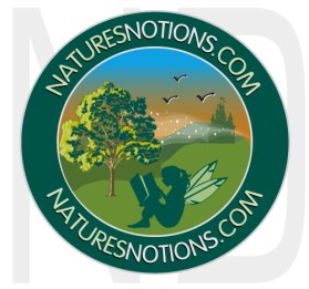 Logo Design entry 22682 submitted by naropada