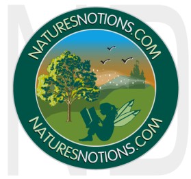 Logo Design entry 22736 submitted by naropada