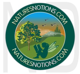 Logo Design entry 22756 submitted by naropada