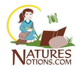 Logo Design entry 22833 submitted by eShopDesigns