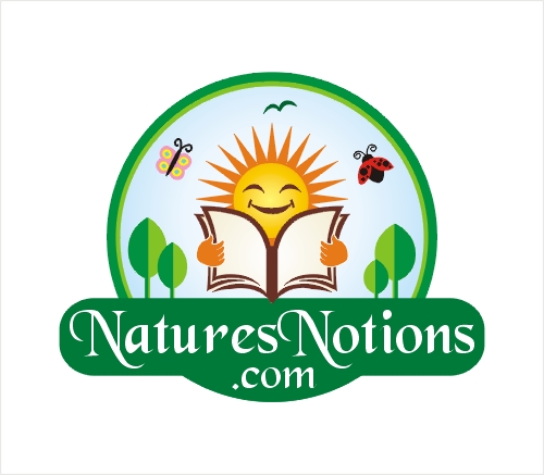 Logo Design entry 22906 submitted by mahmur