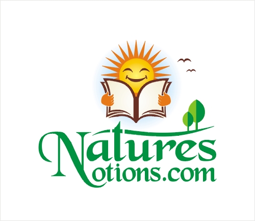 Logo Design entry 22946 submitted by mahmur