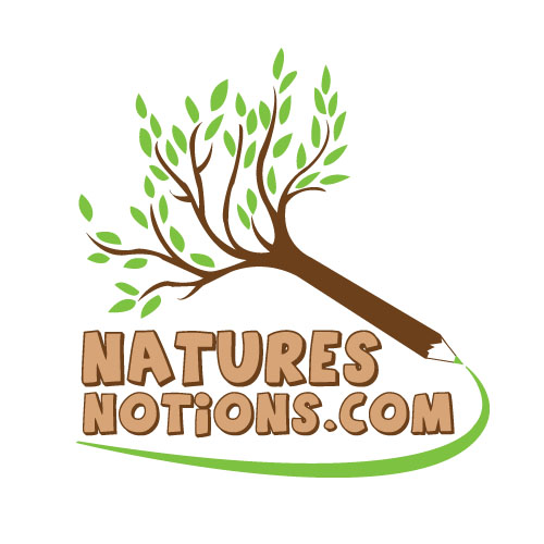 Logo Design entry 22973 submitted by Smashley19