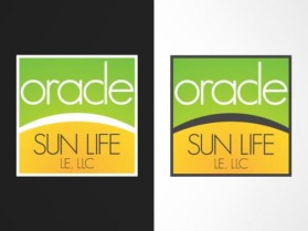 Logo Design entry 27346 submitted by kingbetro
