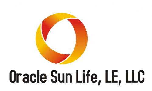 Logo Design entry 27857 submitted by Rayyan