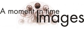 A Moment In Time Images entry by savina_