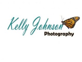 Logo Design entry 38817 submitted by stumpphi