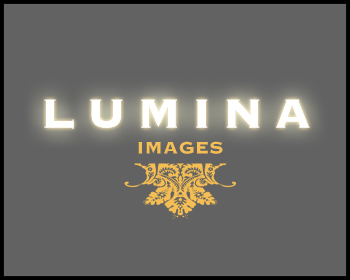 Logo Design entry 45565 submitted by RibMan