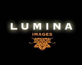 Logo Design entry 57095 submitted by RibMan to the Logo Design for Lumina Images run by Luminaimages