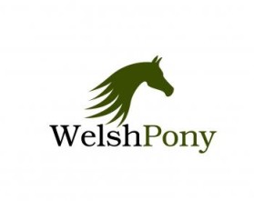 Welsh Pony & Cob Society of America entry by maadezine