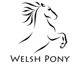 Welsh Pony & Cob Society of America entry by Ivan_Hristov