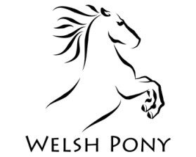 Welsh Pony & Cob Society of America entry by Ivan_Hristov