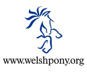 Welsh Pony & Cob Society of America entry by doncip
