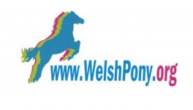Welsh Pony & Cob Society of America entry by contrast8