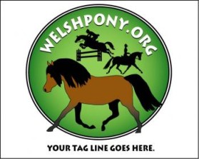 Welsh Pony & Cob Society of America entry by ArtMachine