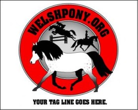 Welsh Pony & Cob Society of America entry by ArtMachine