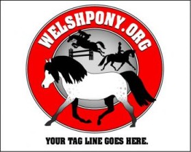 Welsh Pony & Cob Society of America entry by ArtMachine