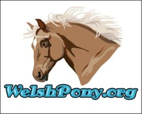 Welsh Pony & Cob Society of America entry by ArtMachine