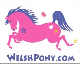 Welsh Pony & Cob Society of America entry by ArtMachine
