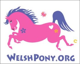 Welsh Pony & Cob Society of America entry by ArtMachine