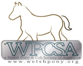 Welsh Pony & Cob Society of America entry by NemesisQaine