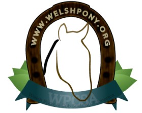 Welsh Pony & Cob Society of America entry by NemesisQaine