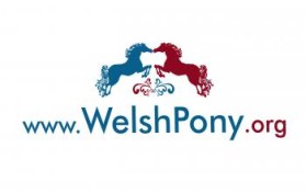 Welsh Pony & Cob Society of America entry by contrast8